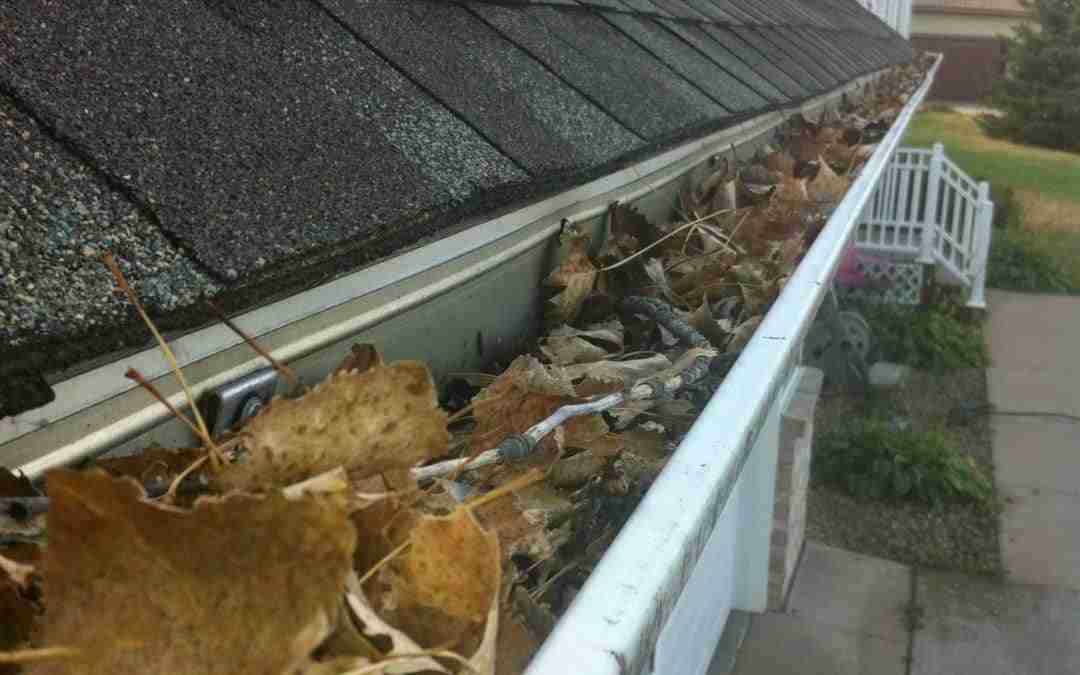 5 Reasons to Hire Professionals to Clean Your Gutters!