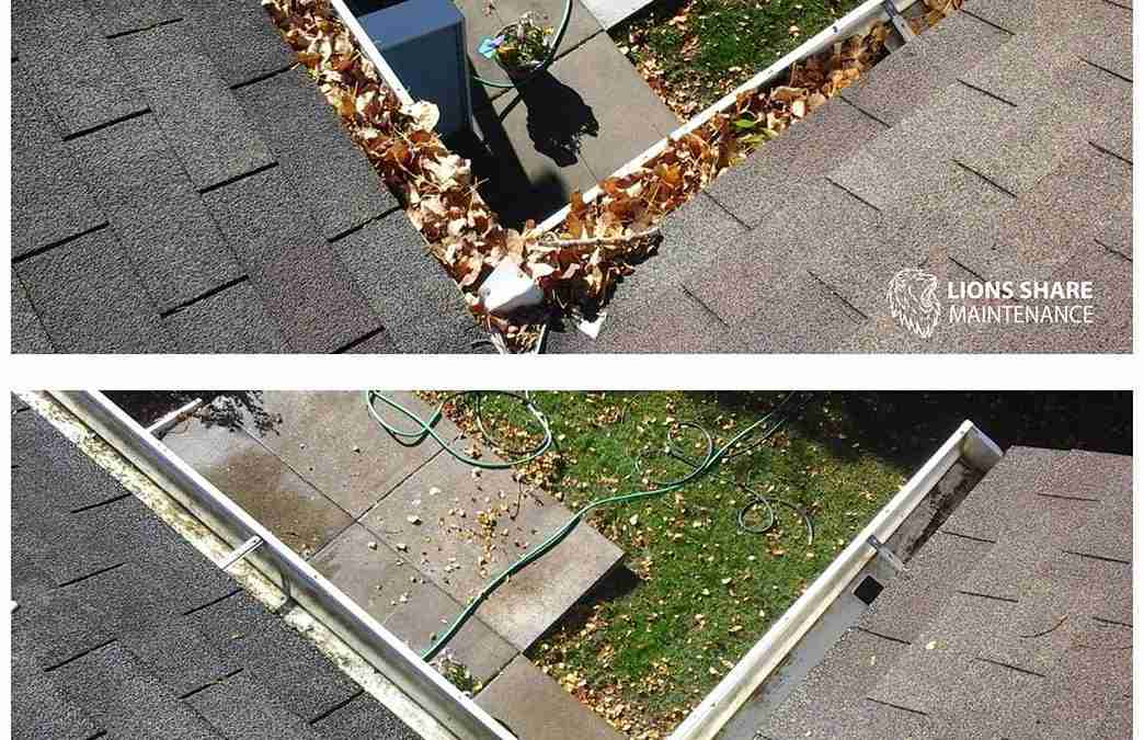 Are You Looking for Professional Gutter Cleaners?