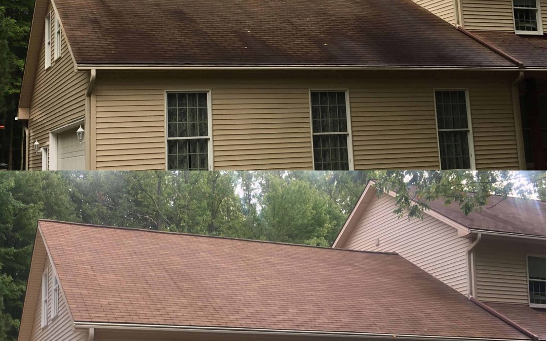 Roof Cleaning: Professional, Safe!