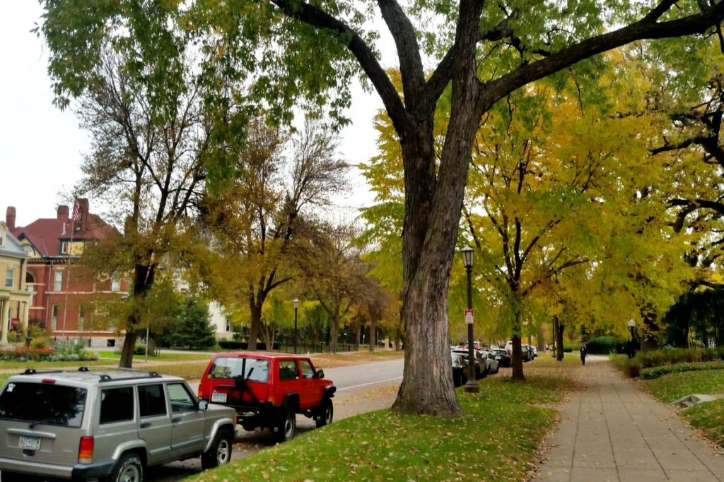 Side walk and car parks in Summit avenue, St. Paul, Minnesota