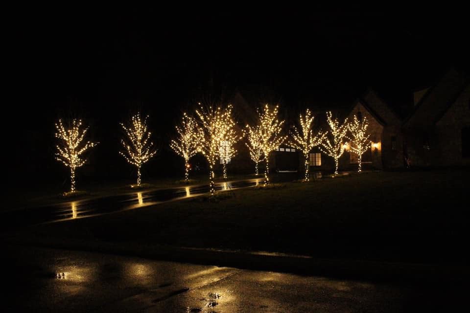 holiday lighting for houses