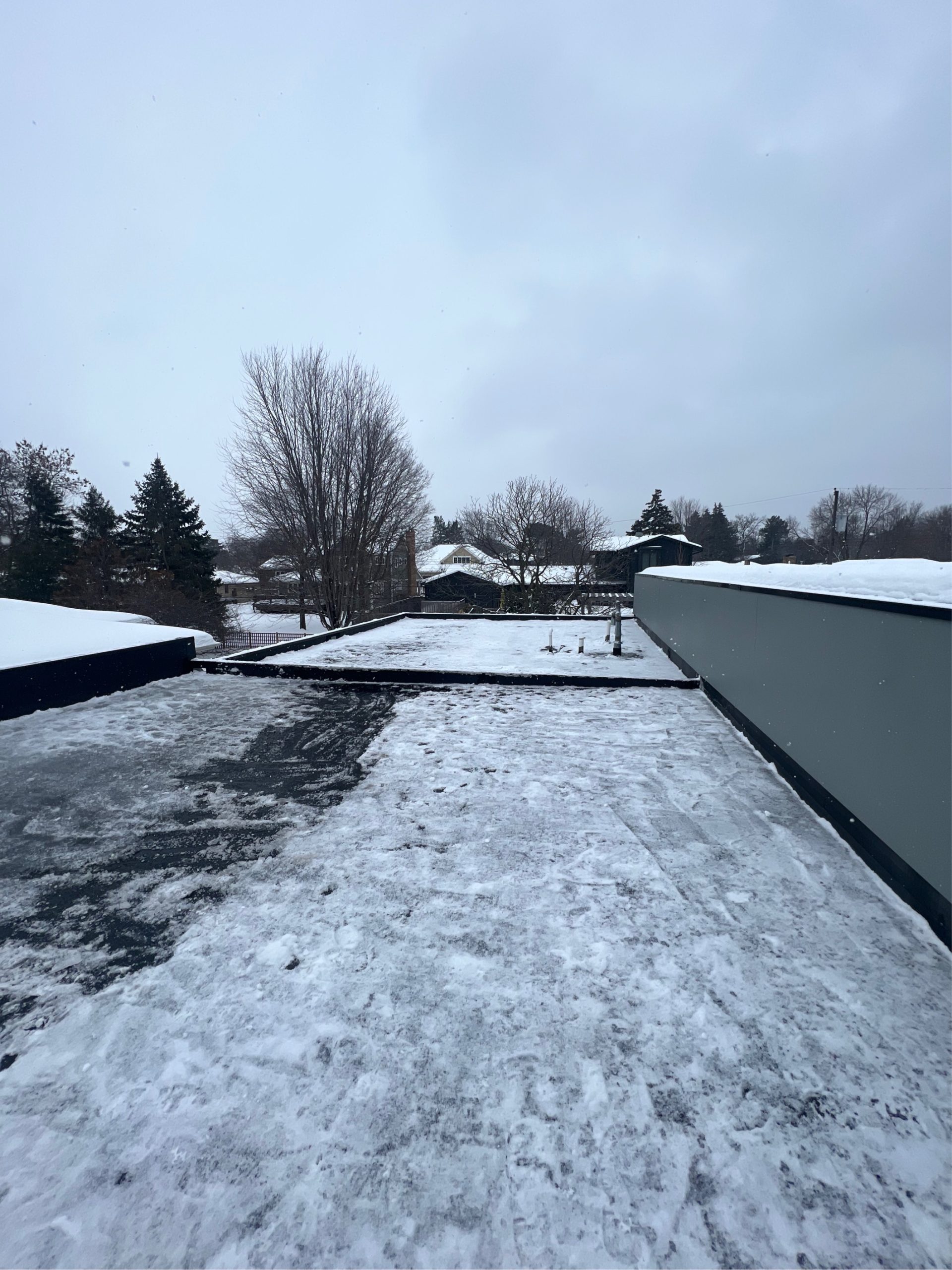 roof raking services