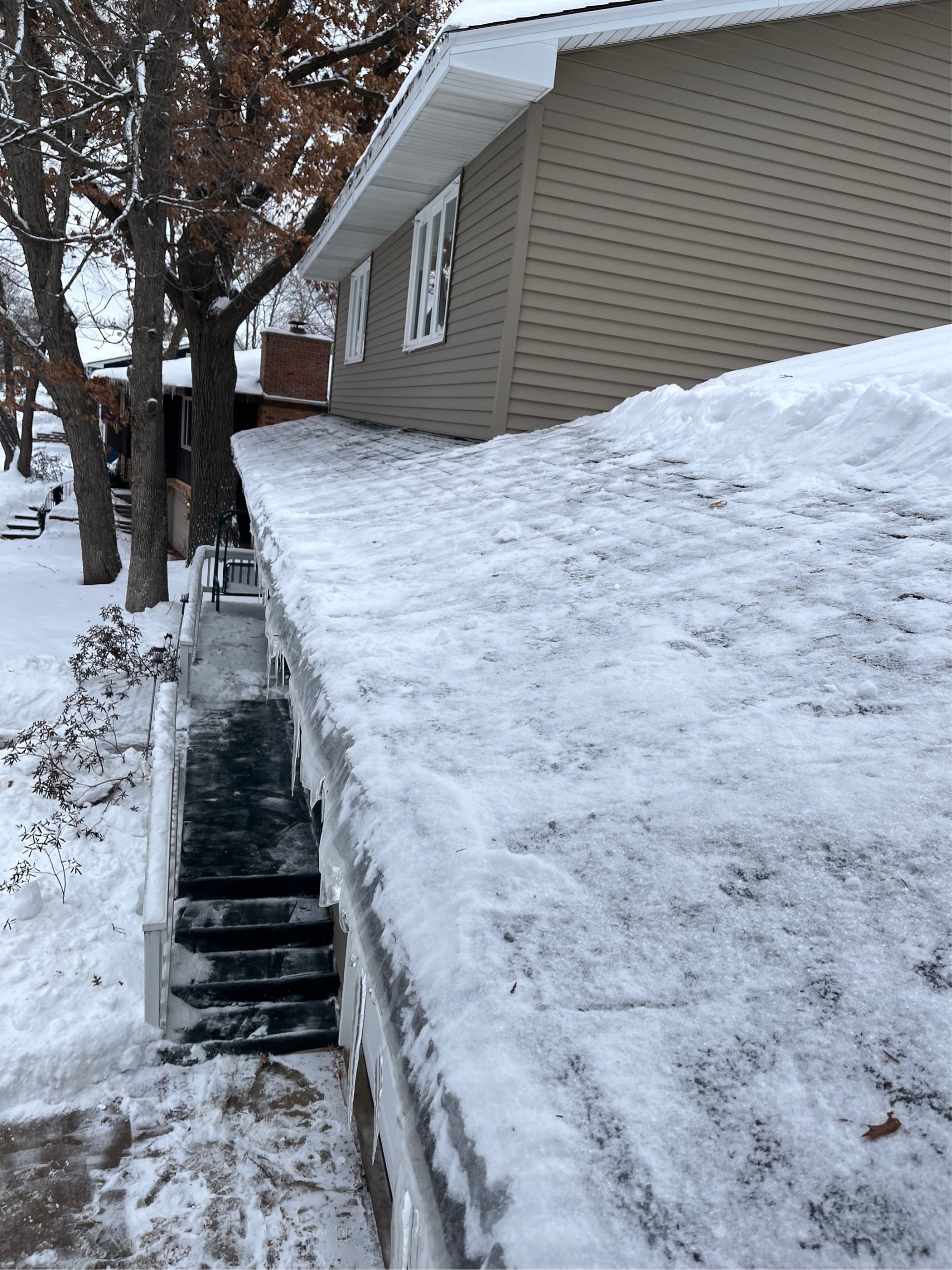 roof raking company