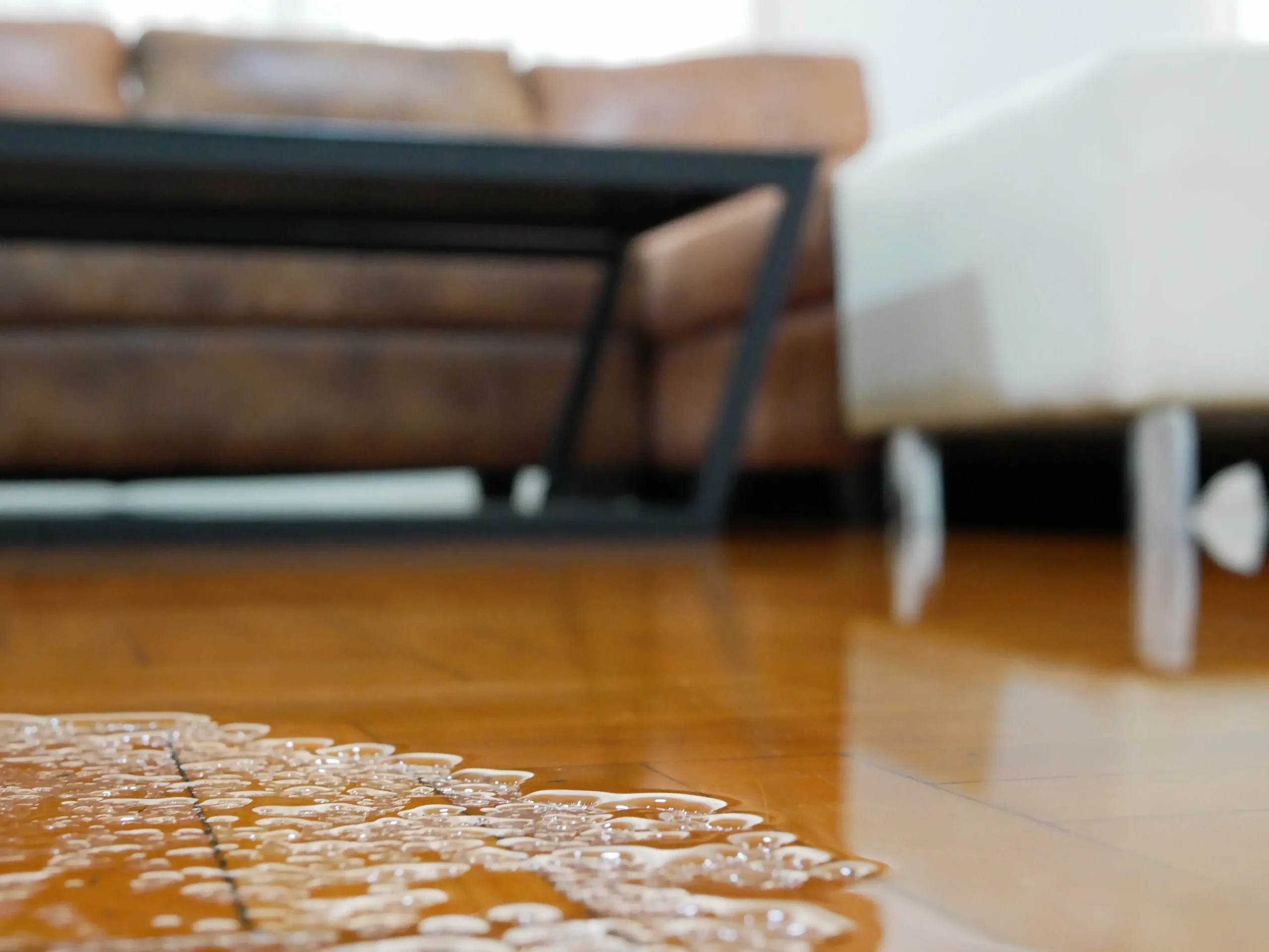 water-mitigation-and-restoration-st-paul-mn-standing-water-on-hardwood-floor