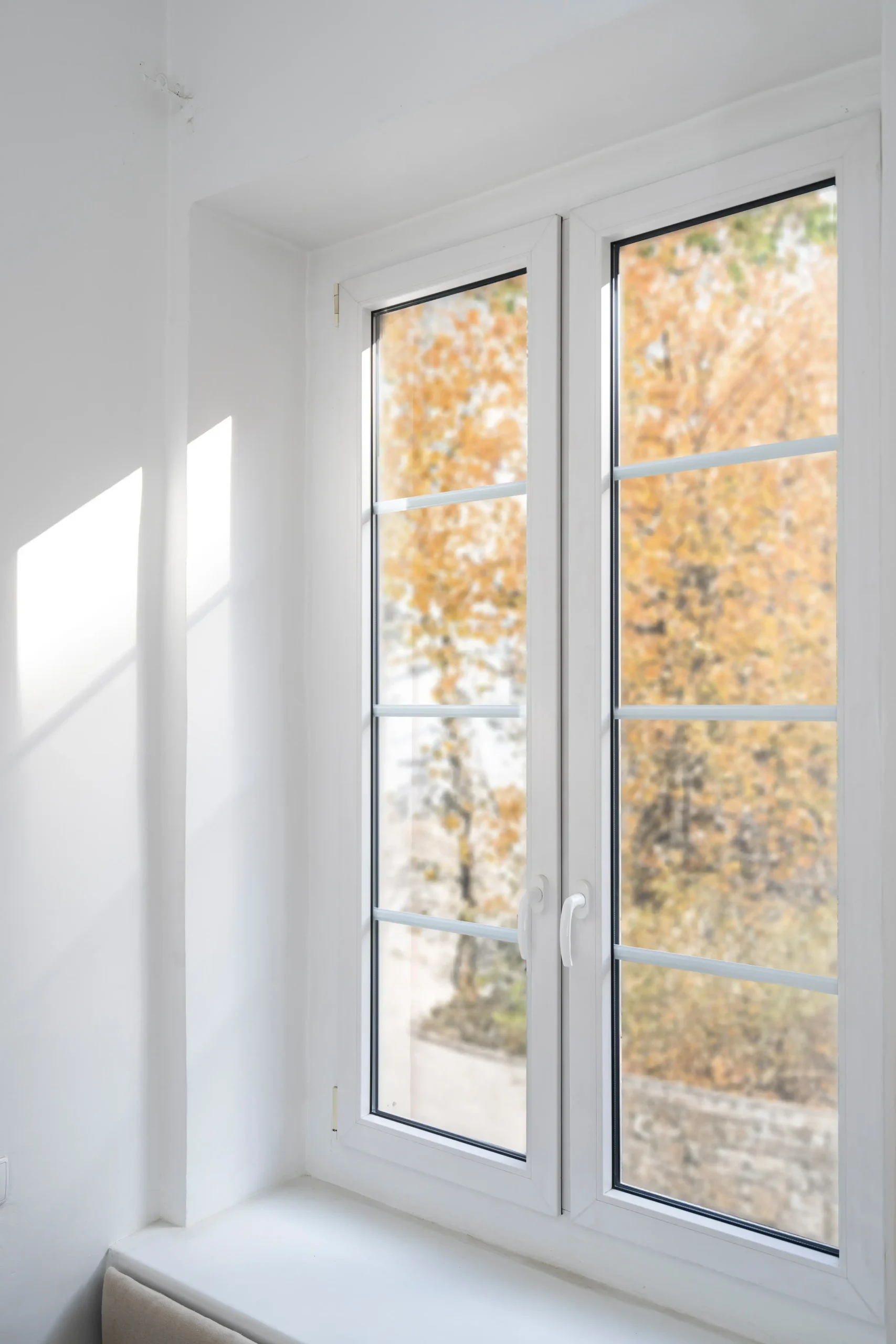 window-installation-st-paul-mn-new-white-home-window-overlooking-fall-trees